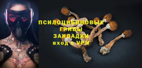 Альфа ПВП Алексин