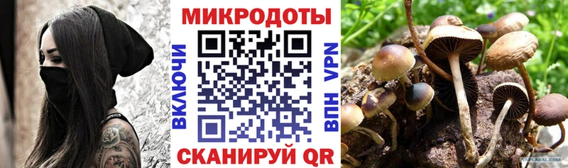 Псилоцибиновые грибы MAGIC MUSHROOMS  как найти закладки  Клин 